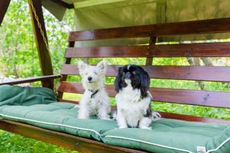 Poppelstrand Nuuksio, Pet Friendly Guest Apartment Exteriör bild